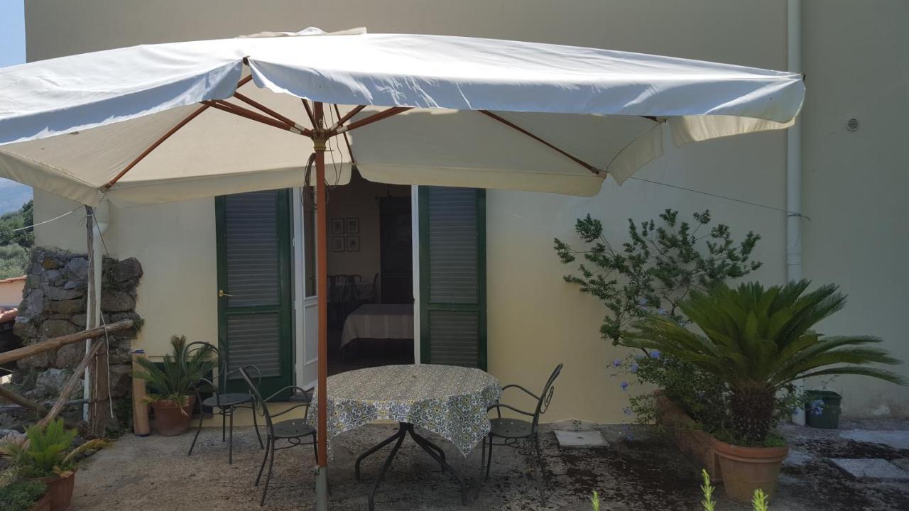 Gli Ulivi Agriturismo Sant'Agnello Εξωτερικό φωτογραφία