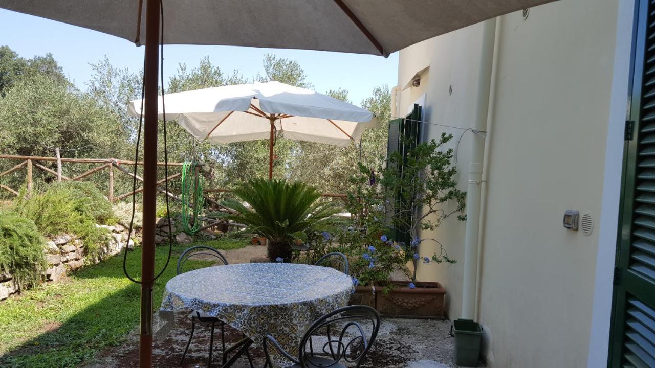 Gli Ulivi Agriturismo Sant'Agnello Εξωτερικό φωτογραφία