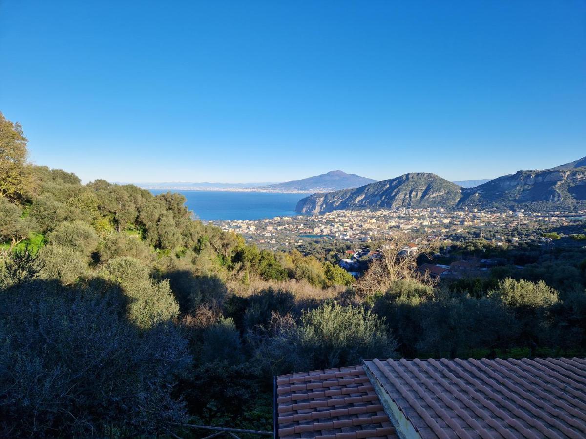 Gli Ulivi Agriturismo Sant'Agnello Εξωτερικό φωτογραφία