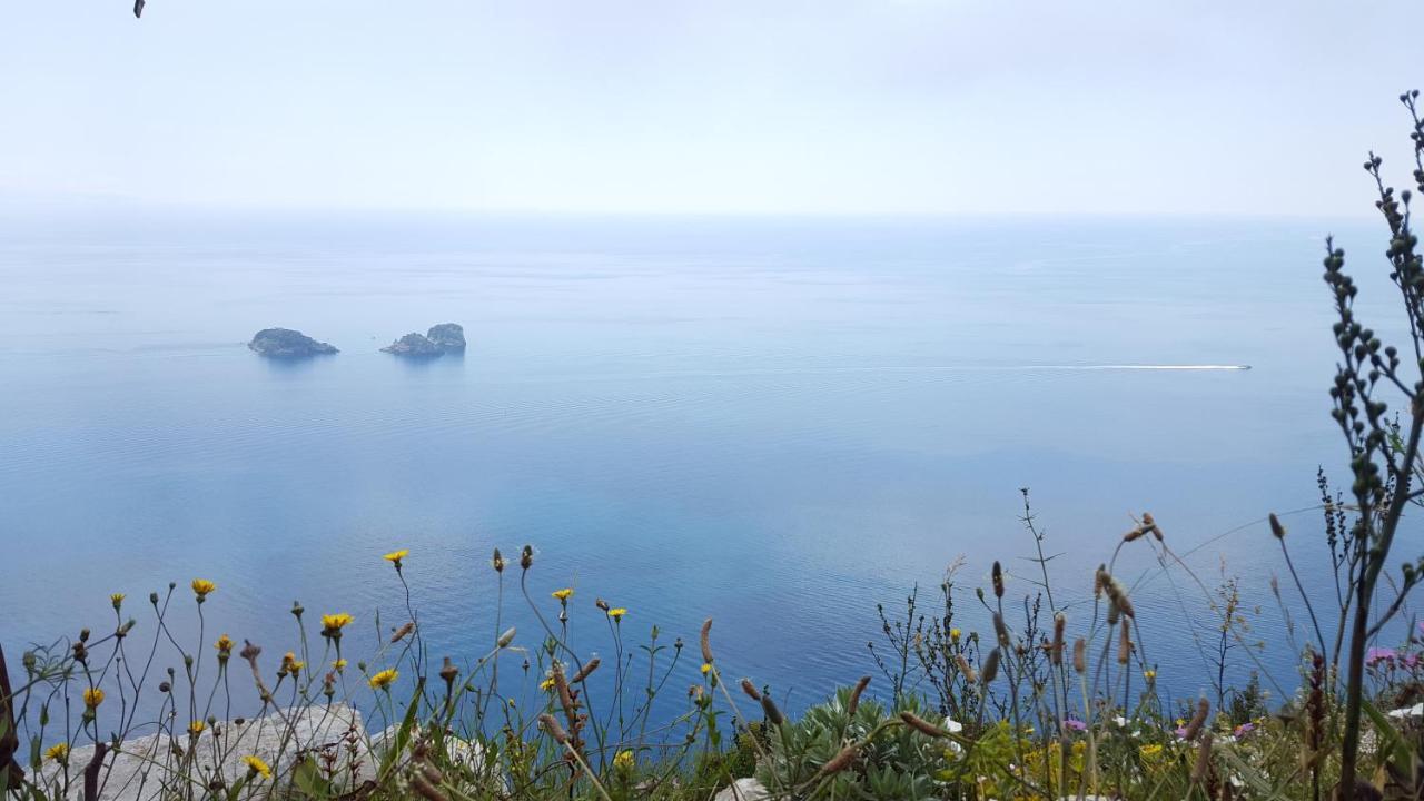 Gli Ulivi Agriturismo Sant'Agnello Εξωτερικό φωτογραφία