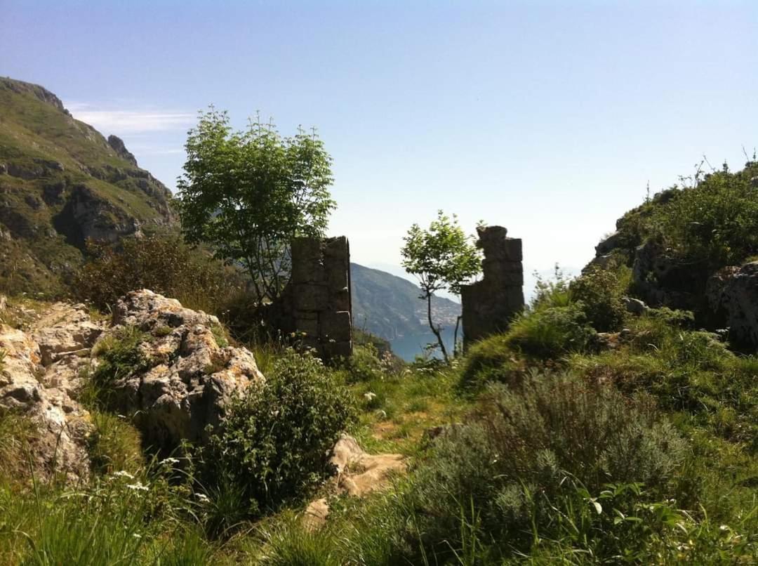 Gli Ulivi Agriturismo Sant'Agnello Εξωτερικό φωτογραφία