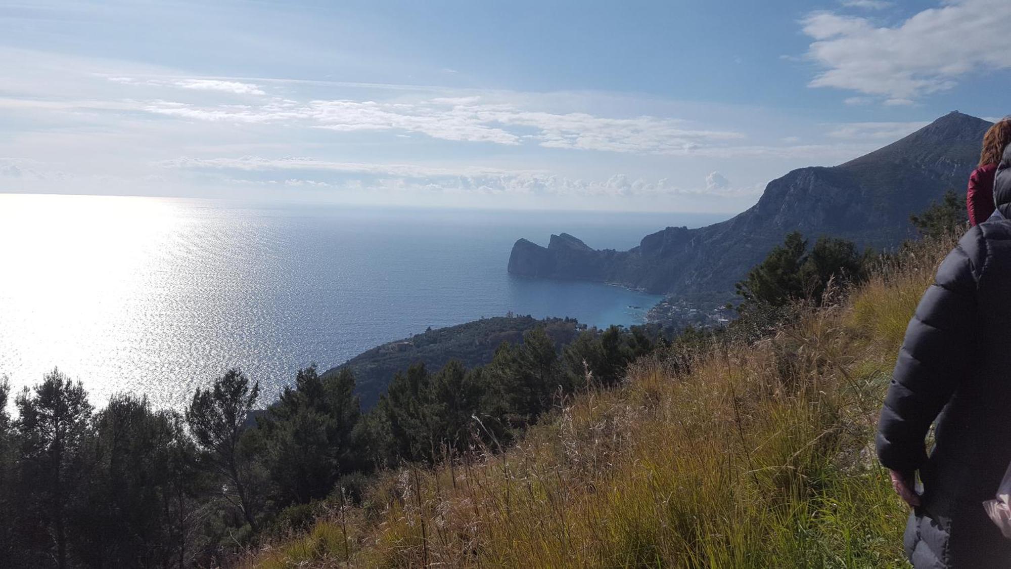 Gli Ulivi Agriturismo Sant'Agnello Εξωτερικό φωτογραφία
