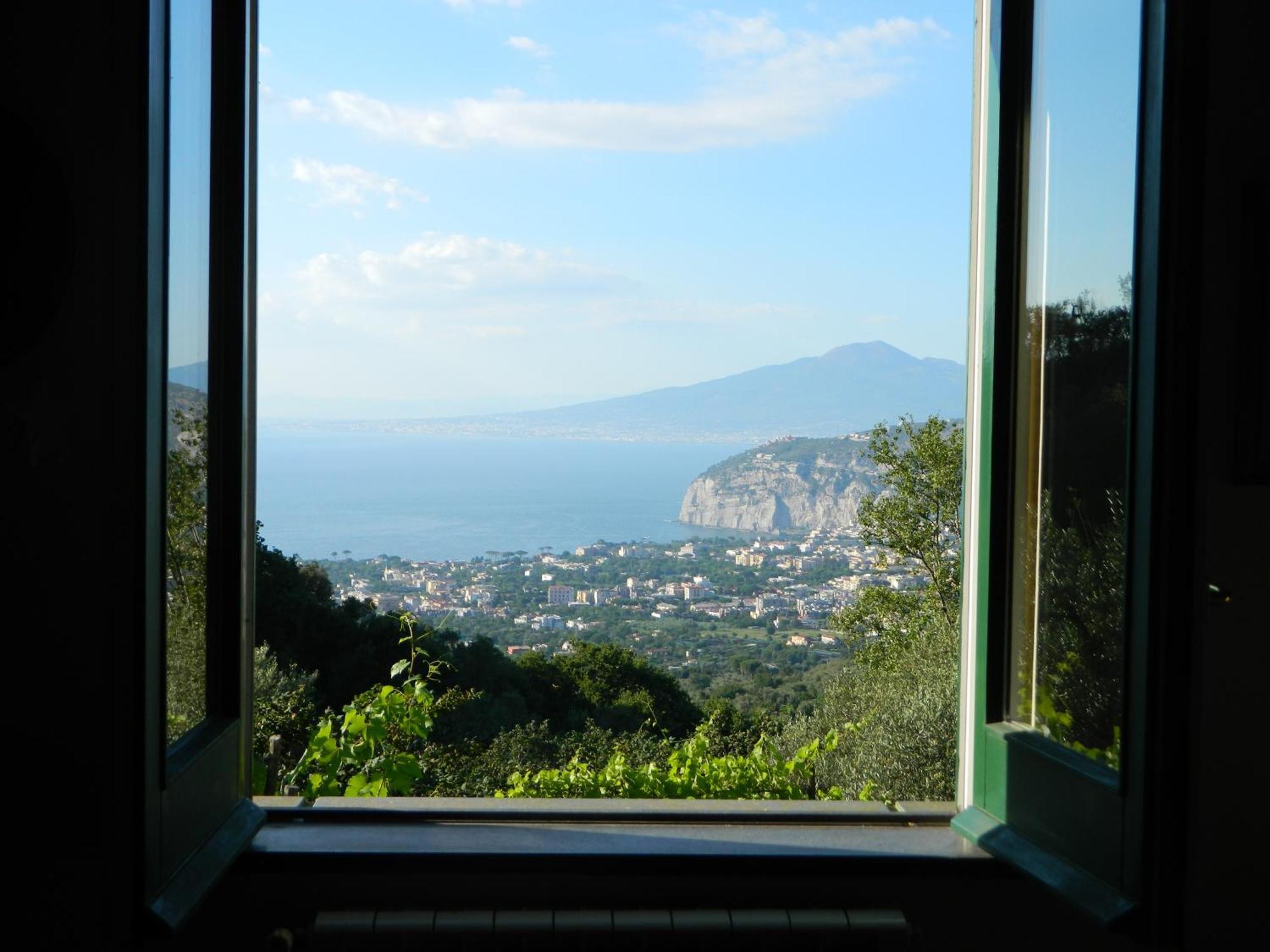 Gli Ulivi Agriturismo Sant'Agnello Εξωτερικό φωτογραφία