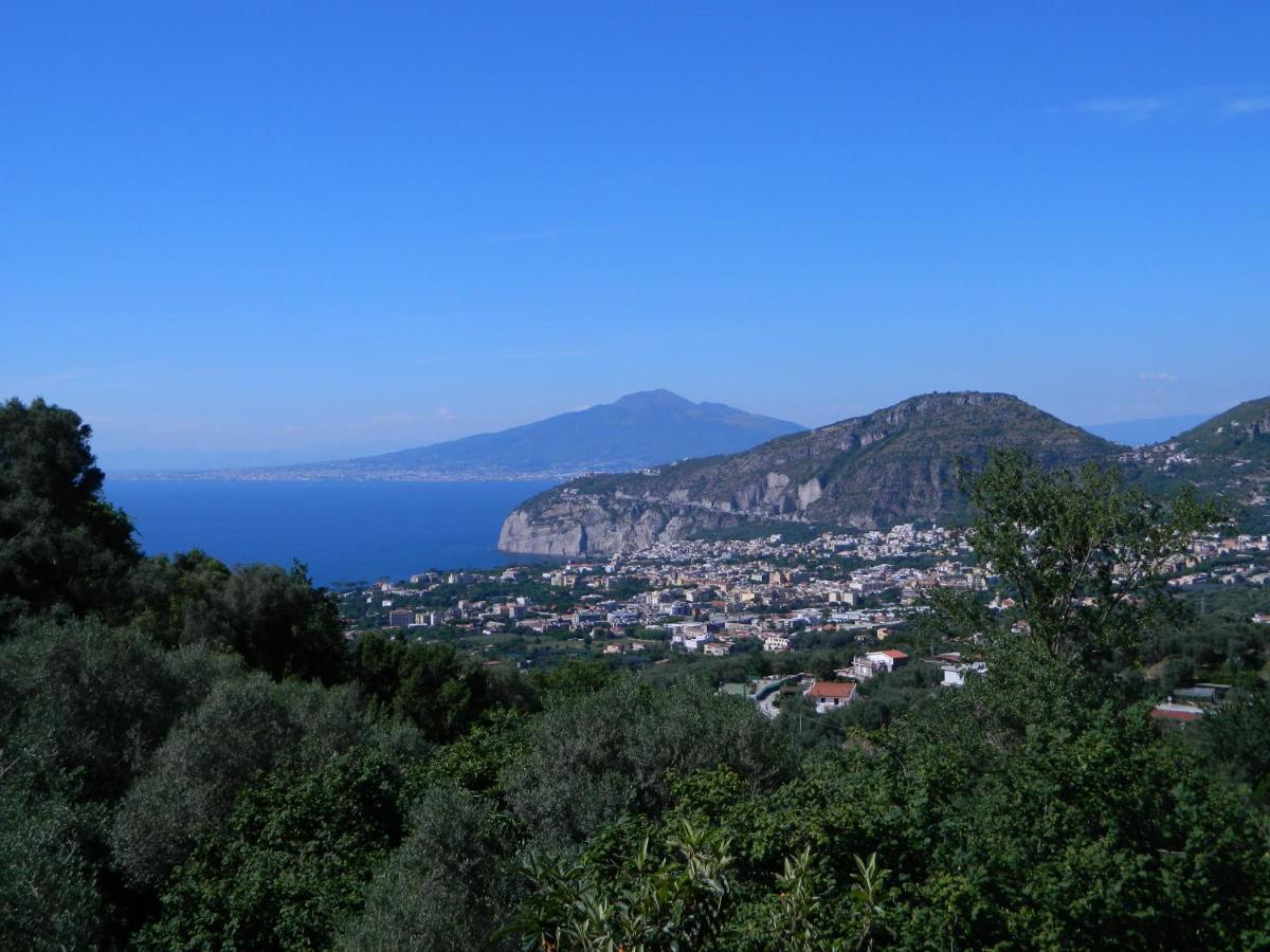 Gli Ulivi Agriturismo Sant'Agnello Εξωτερικό φωτογραφία