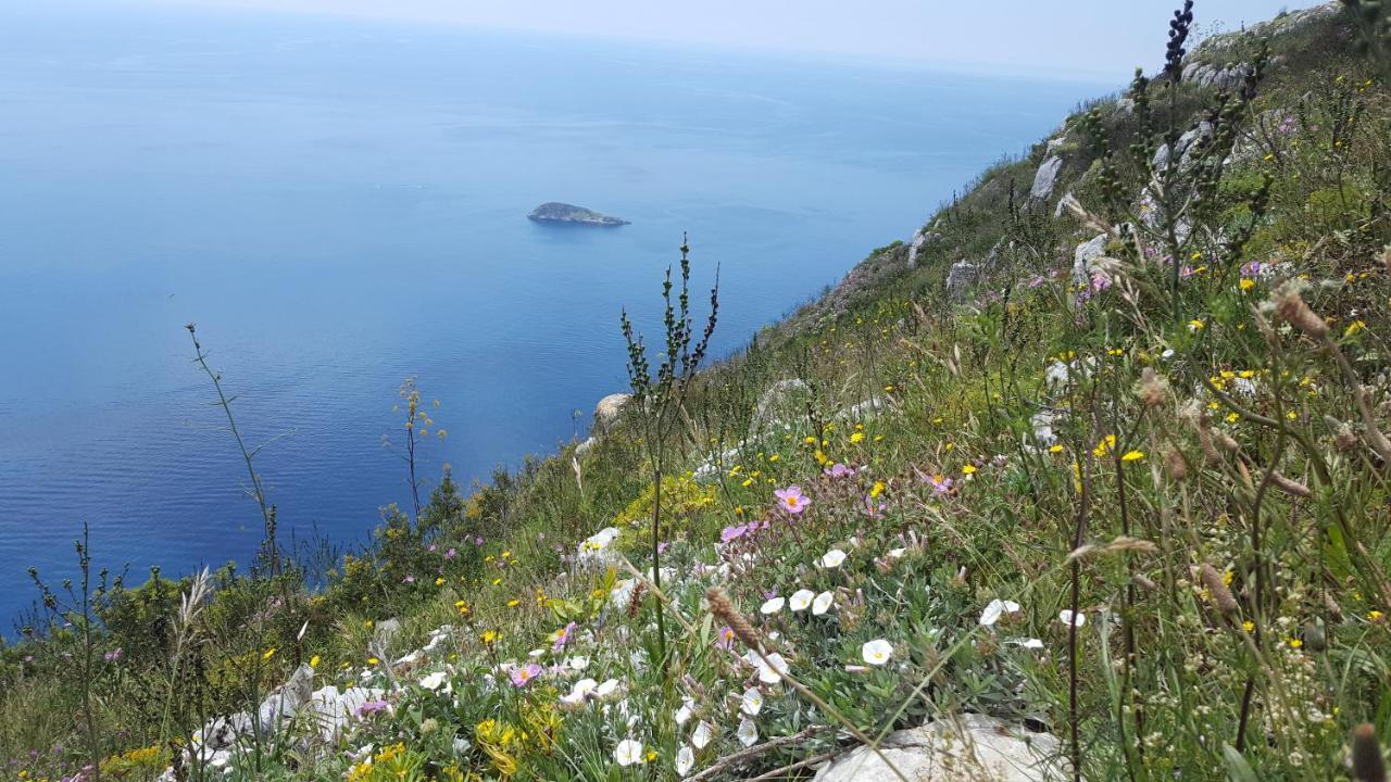 Gli Ulivi Agriturismo Sant'Agnello Εξωτερικό φωτογραφία